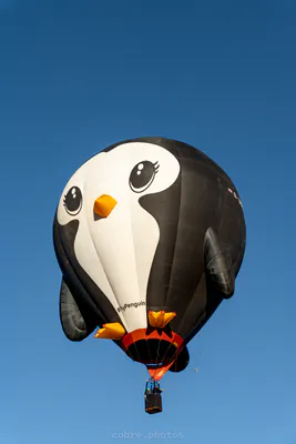 🎈 Albuquerque International Balloon Fiesta 2025