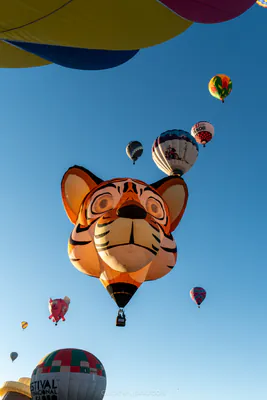 🎈 Albuquerque International Balloon Fiesta 2025