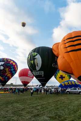 🎈 Albuquerque International Balloon Fiesta 2025