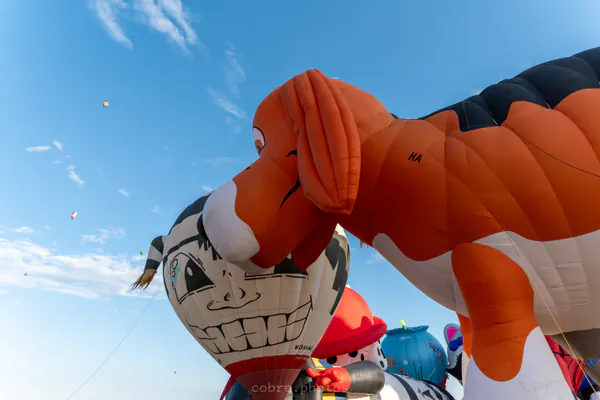 🎈 Albuquerque International Balloon Fiesta 2025