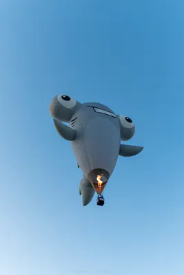 🎈 Albuquerque International Balloon Fiesta 2025