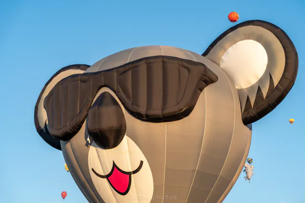 🎈 Albuquerque International Balloon Fiesta 2025