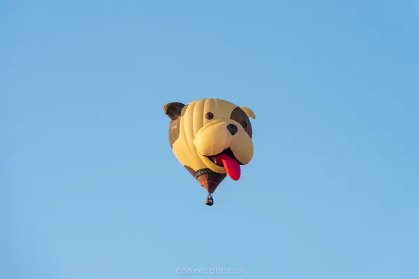 🎈 Albuquerque International Balloon Fiesta 2025