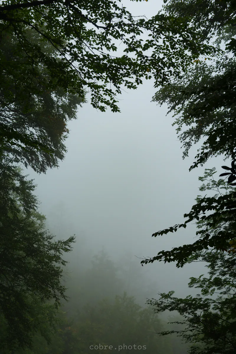 Nature Highlights