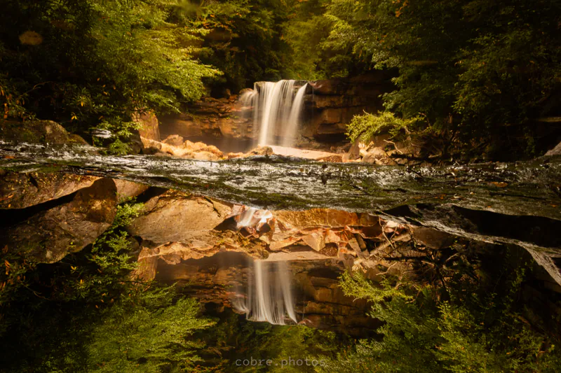 Nature Highlights